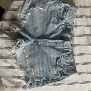 Agolde Parker Vintage Cut Off Short